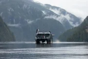 007