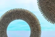 010